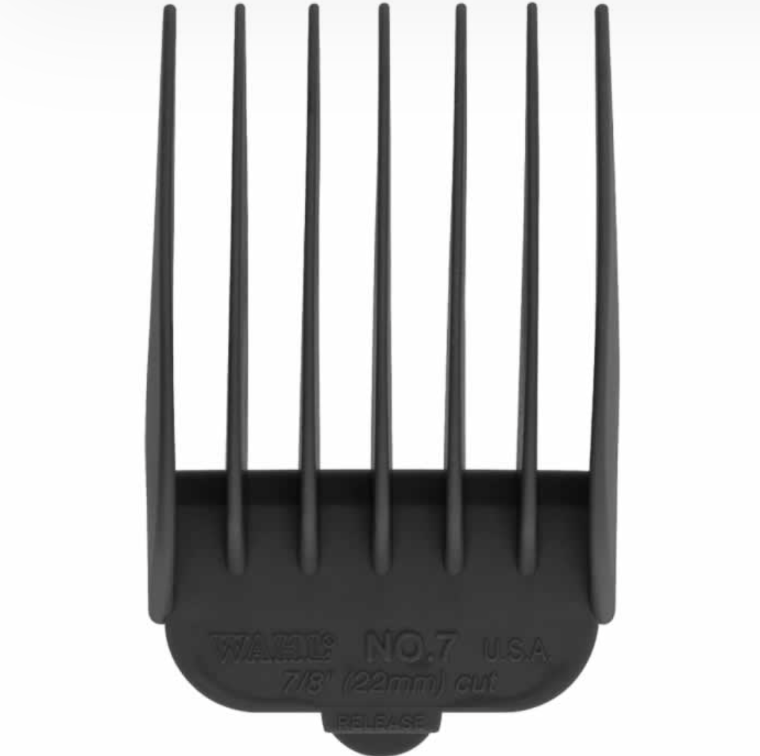 ATTACHMENT COMB #3145-001